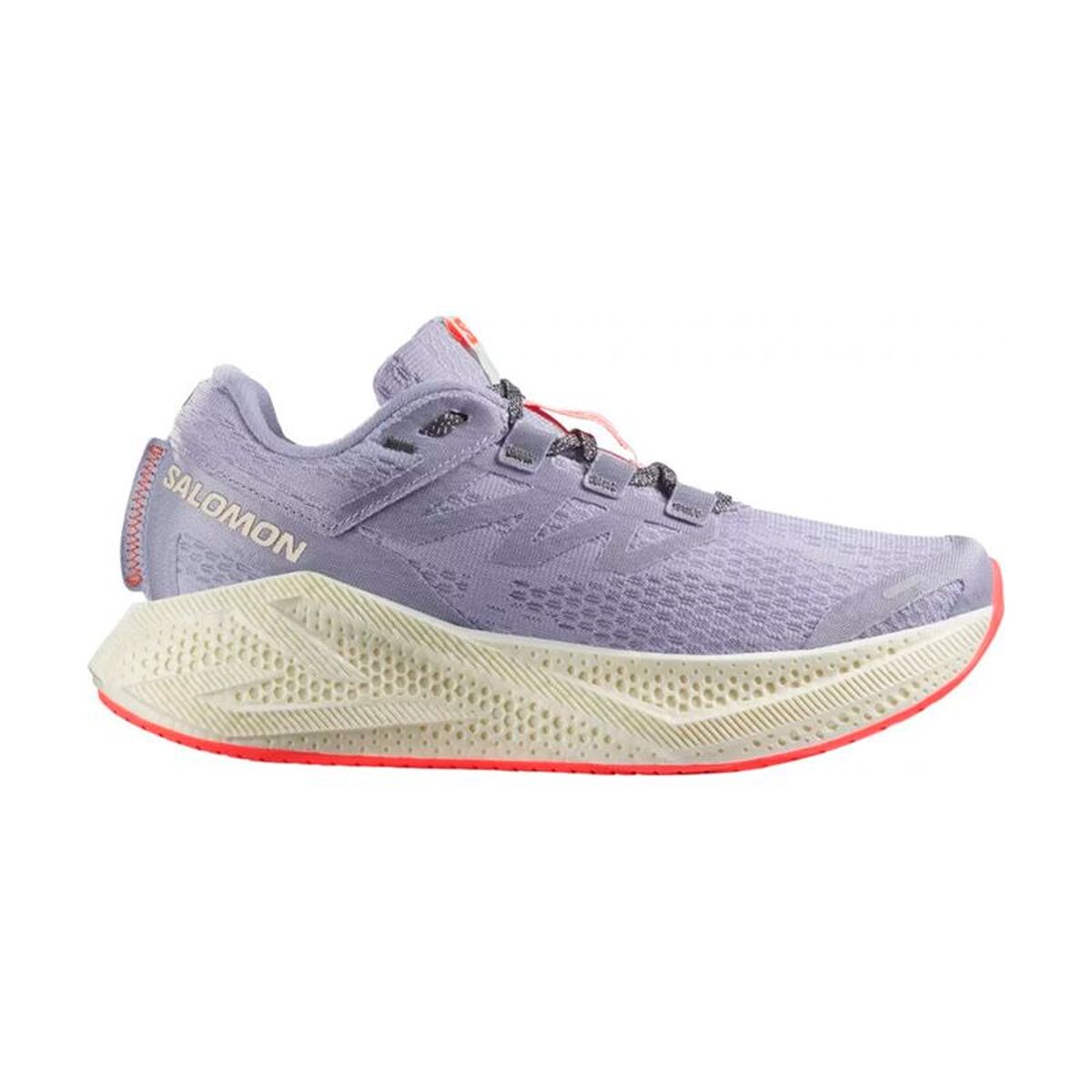 Running Shoes for Adults Salomon Aero Glide 3 Lavendar
