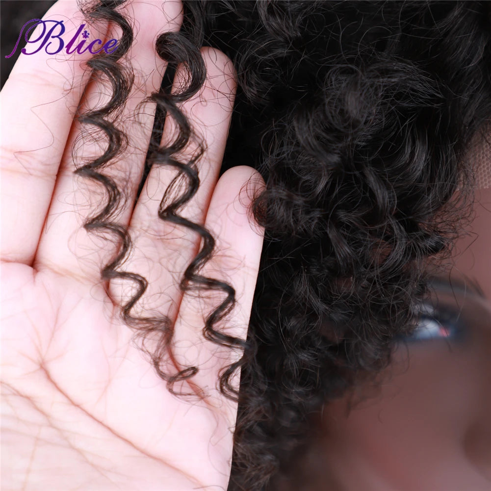 Blice Afro Kinky Curly Middle Part Closure Wig Natural Mixed Synthetic Hair Wigs 16 Inch Black Color For Women
