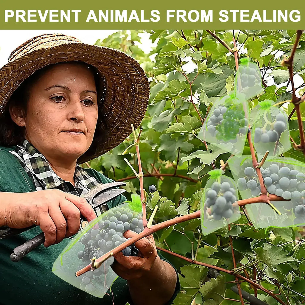 50/100PCS Grapes Protection Bags Garden Mesh Bags Agricultural Orchard Pest Control Anti-Bird Netting Fruit Vegetable Bags
