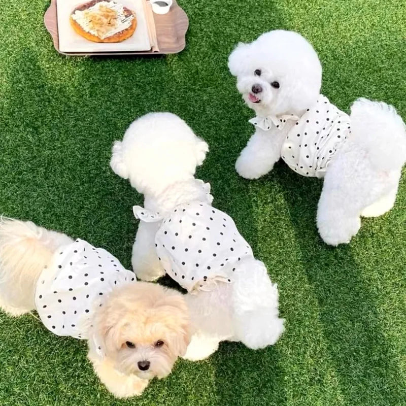Fashion Dog Dress Dot Pet Dog Clothes Summer Suspender Puppy Skirt Chihuahua Yorkie Bichon Clothing Girl Dog Costume Cat Dresses