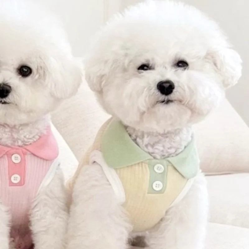 Summer Pet Dog Polo Shirt Breathable Dog Clothes Fashion Puppy Vest Cute Solid Cat Shirt Soft Pet Costumes Chihuahua Dog Clothes