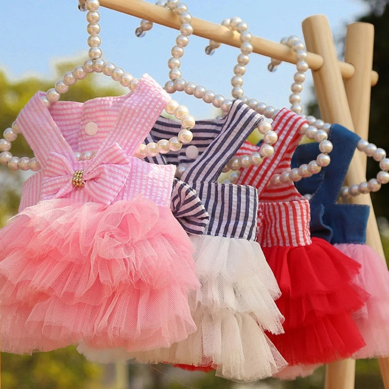 Dog Summer Lace Dress Stripe Skirt