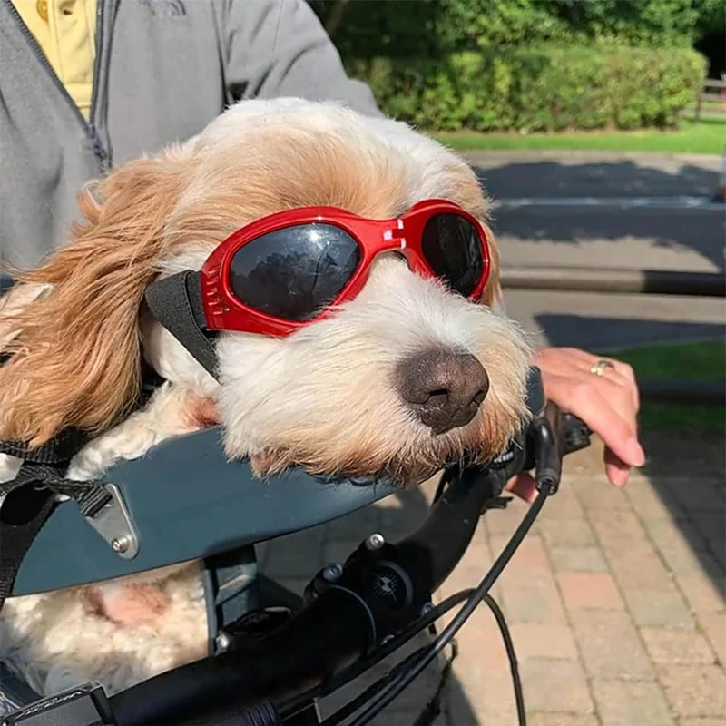 Foldable Pet Glasses Dog Goggles Fashion Sunglasses Summer Windproof Sunscreen Dogs Puppy Accessories Pet Supplies
