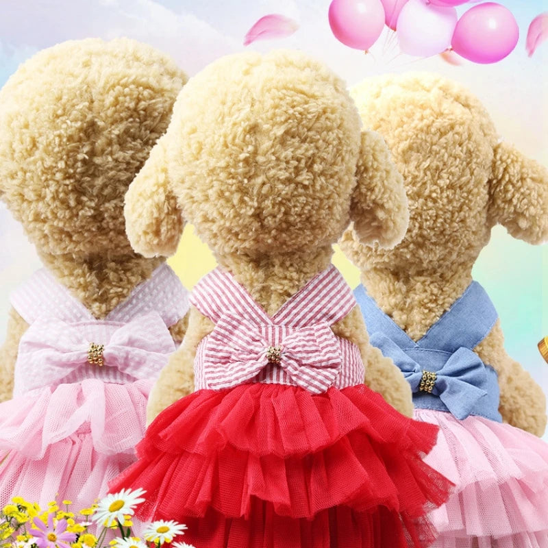 Dog Summer Lace Dress Stripe Skirt