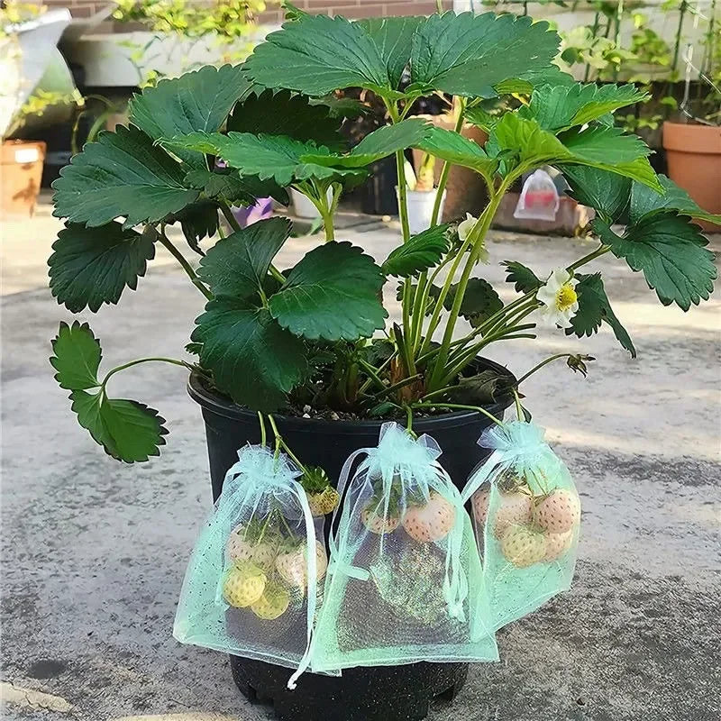 100pcs Fruit Protection Bags Anti-Bird Garden Netting Bags Strawberry Grapes Mesh Bag Plante Vegetable Netting Cover Garden Tool