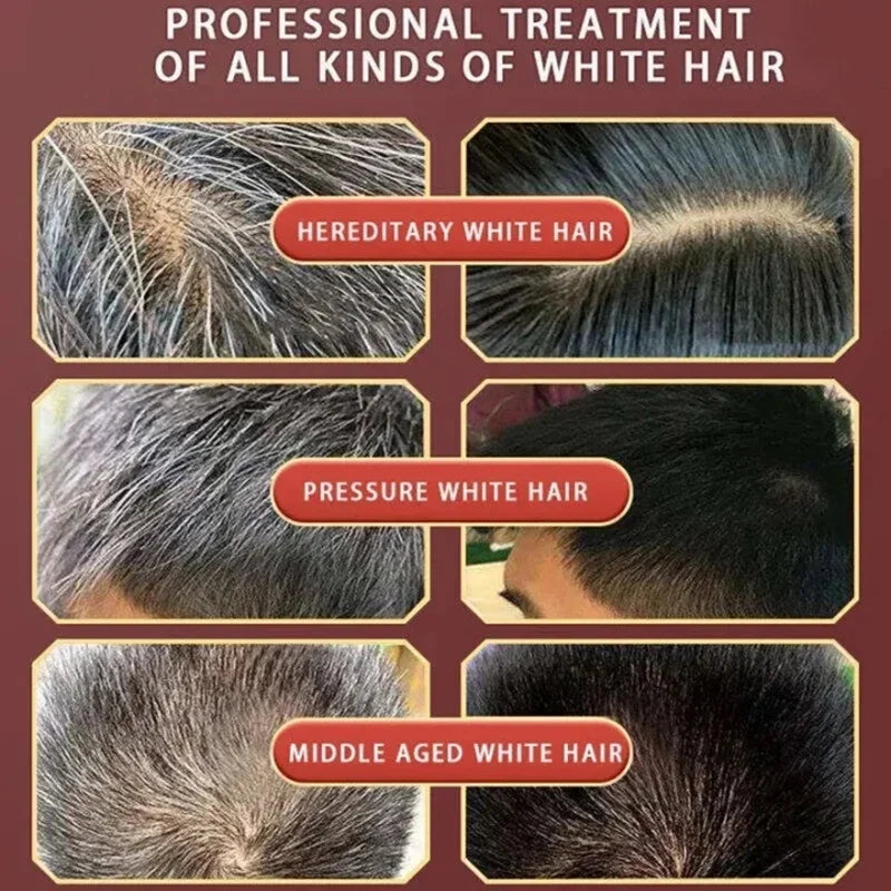 Natural Herbal Hair Dye Shampoo 5 Minutes