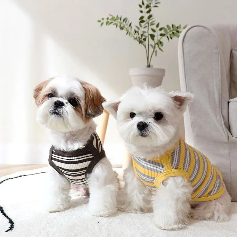 Cotton Rib Dog Shirt Stripe Vest Small Dogs