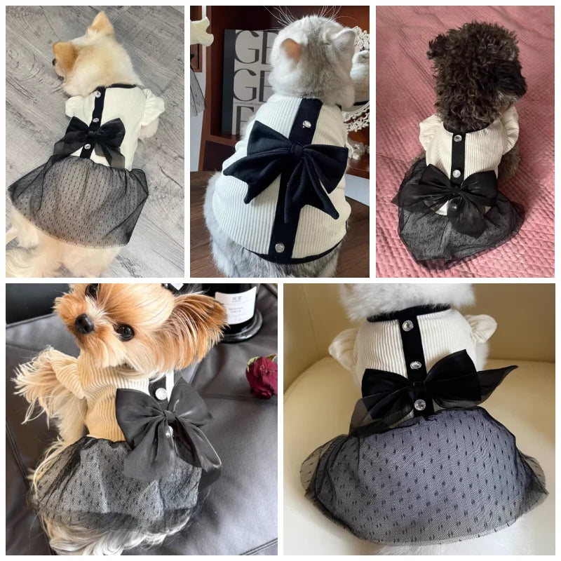Luxury Dog Dress Lace Bow Skirt Small Dogs