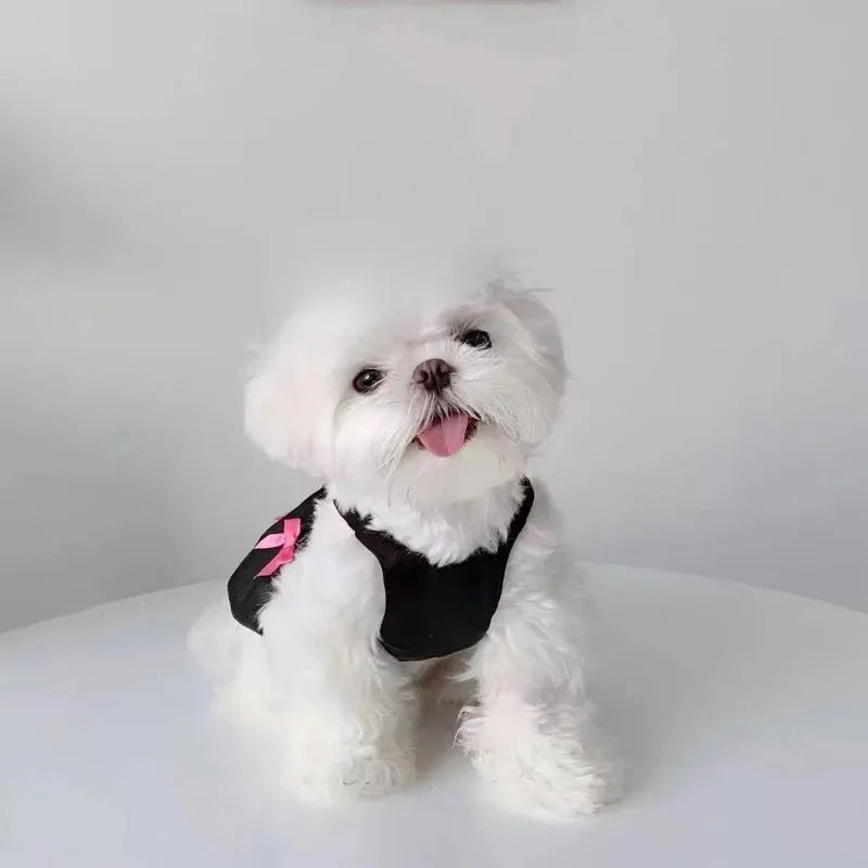 Pet Dog Suspender Pumpkin Dress New Spring/summer Bow Dress Teddy Bear Dog Cat Clothing Puppy Clothes Dog Shirt Cooling Vest