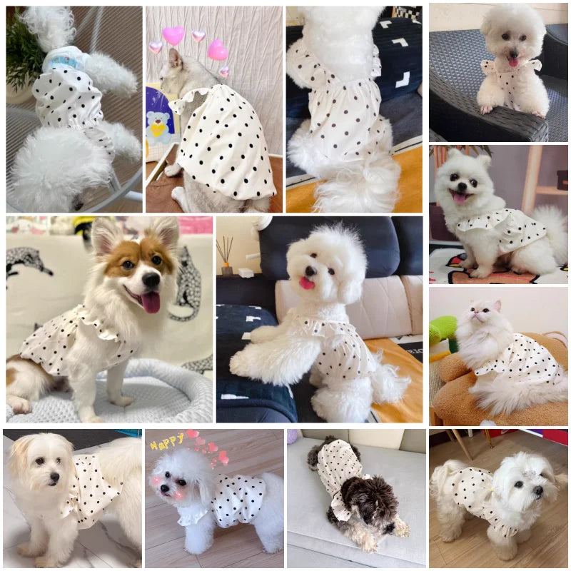 Fashion Dog Dress Dot Pet Dog Clothes Summer Suspender Puppy Skirt Chihuahua Yorkie Bichon Clothing Girl Dog Costume Cat Dresses