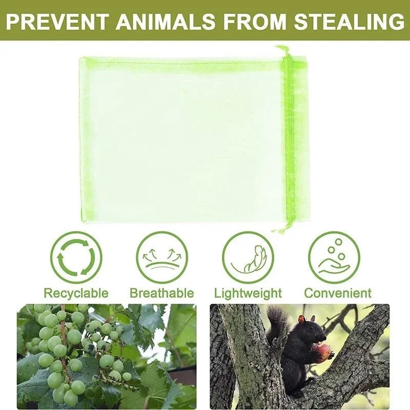 100pcs Fruit Protection Bags Anti-Bird Garden Netting Bags Strawberry Grapes Mesh Bag Plante Vegetable Netting Cover Garden Tool