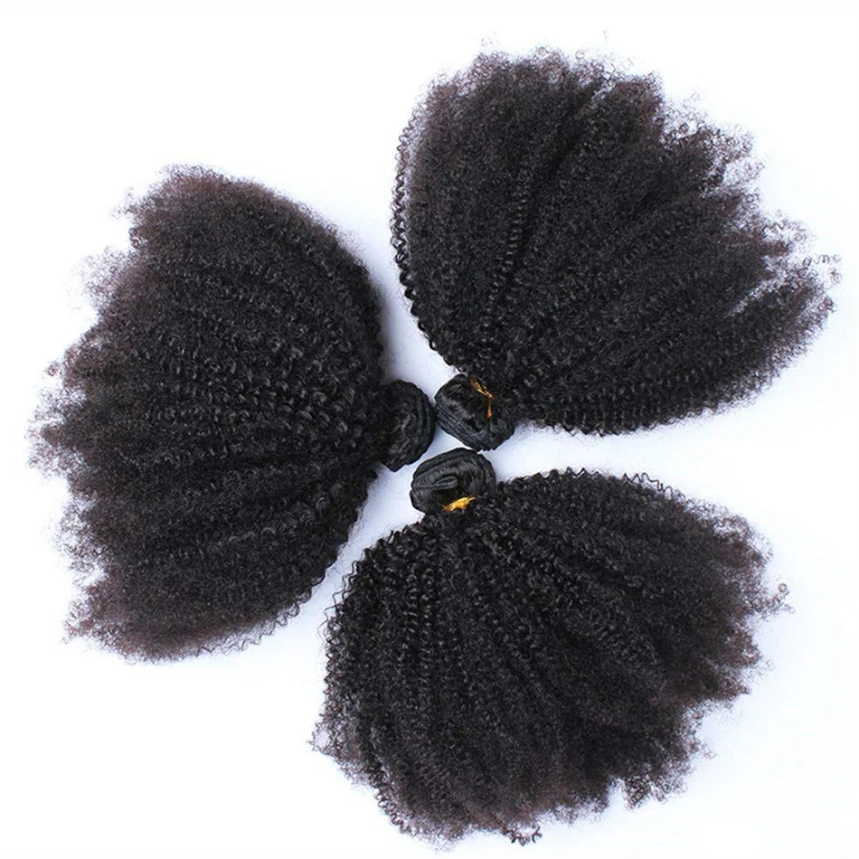 Miss Rola Afro Kinky Hair Weave Bundles 100% Human Hair Natural Color Curly Hair Extension Peruvian Remy Double Wefts