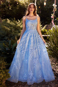 Lace Embellished A-Line Dress